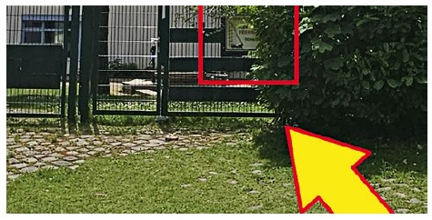 Wenn Hinweisschilder zugewachsen sind, entstehen für die<pseudo>Feuerwehr unnötige Aufgaben (Freischneiden, Suchen), die<br><br></pseudo><pseudo>wertvolle Zeit in Anspruch nehmen.